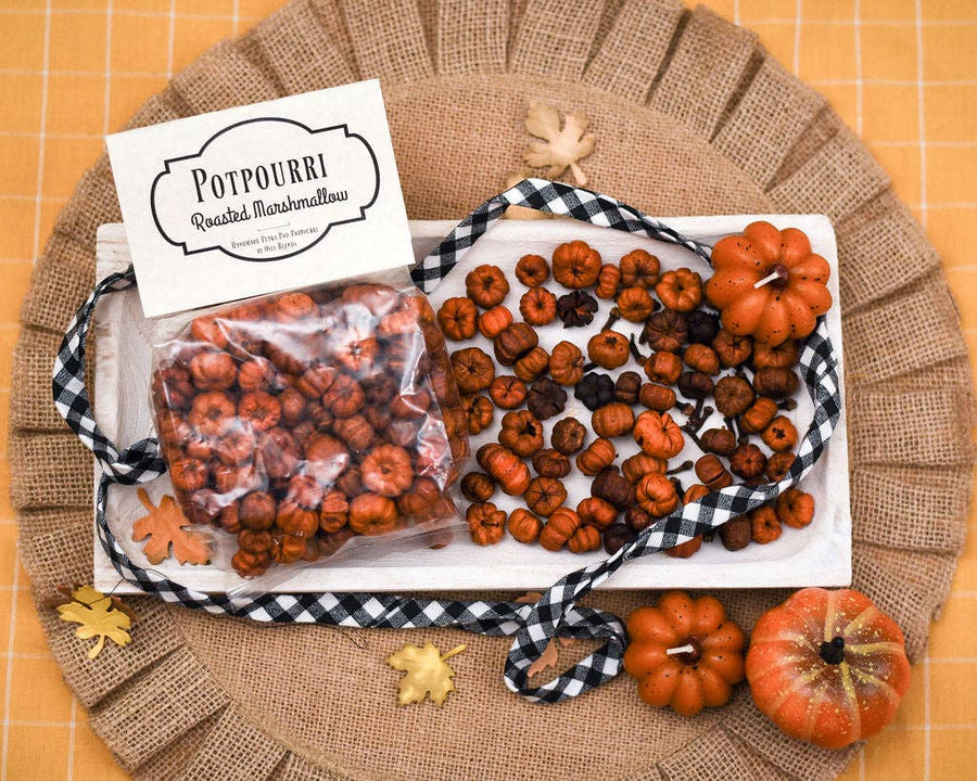 Pumpkin baby Potpourri Packs: Pumpkin Spice