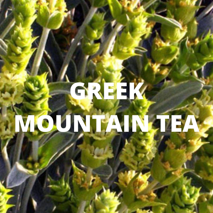 Greek Immune Tea