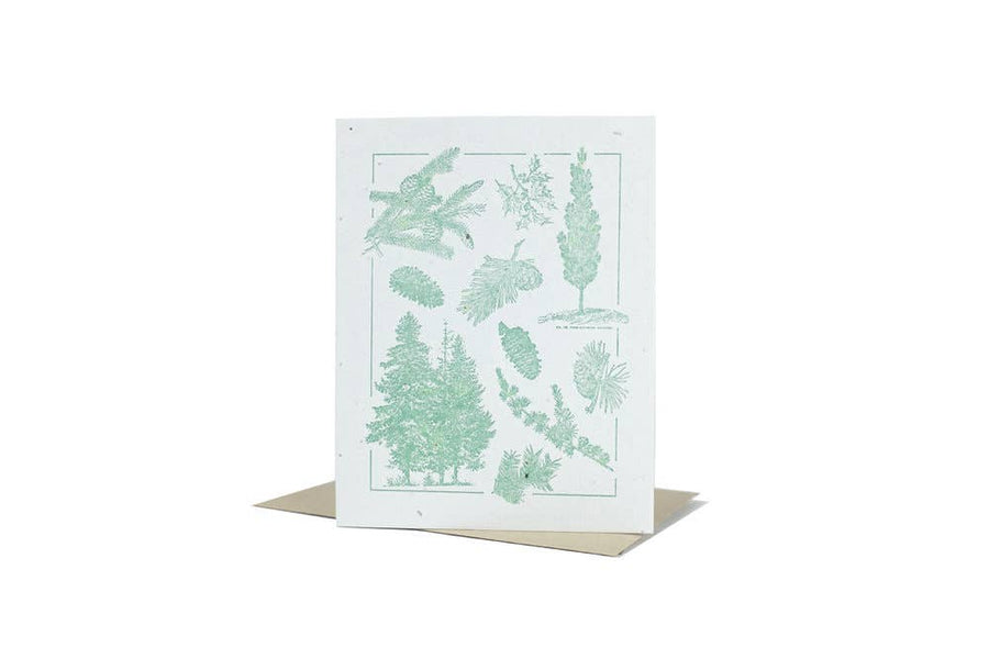 Triple Threat Press - Green Plantable Card