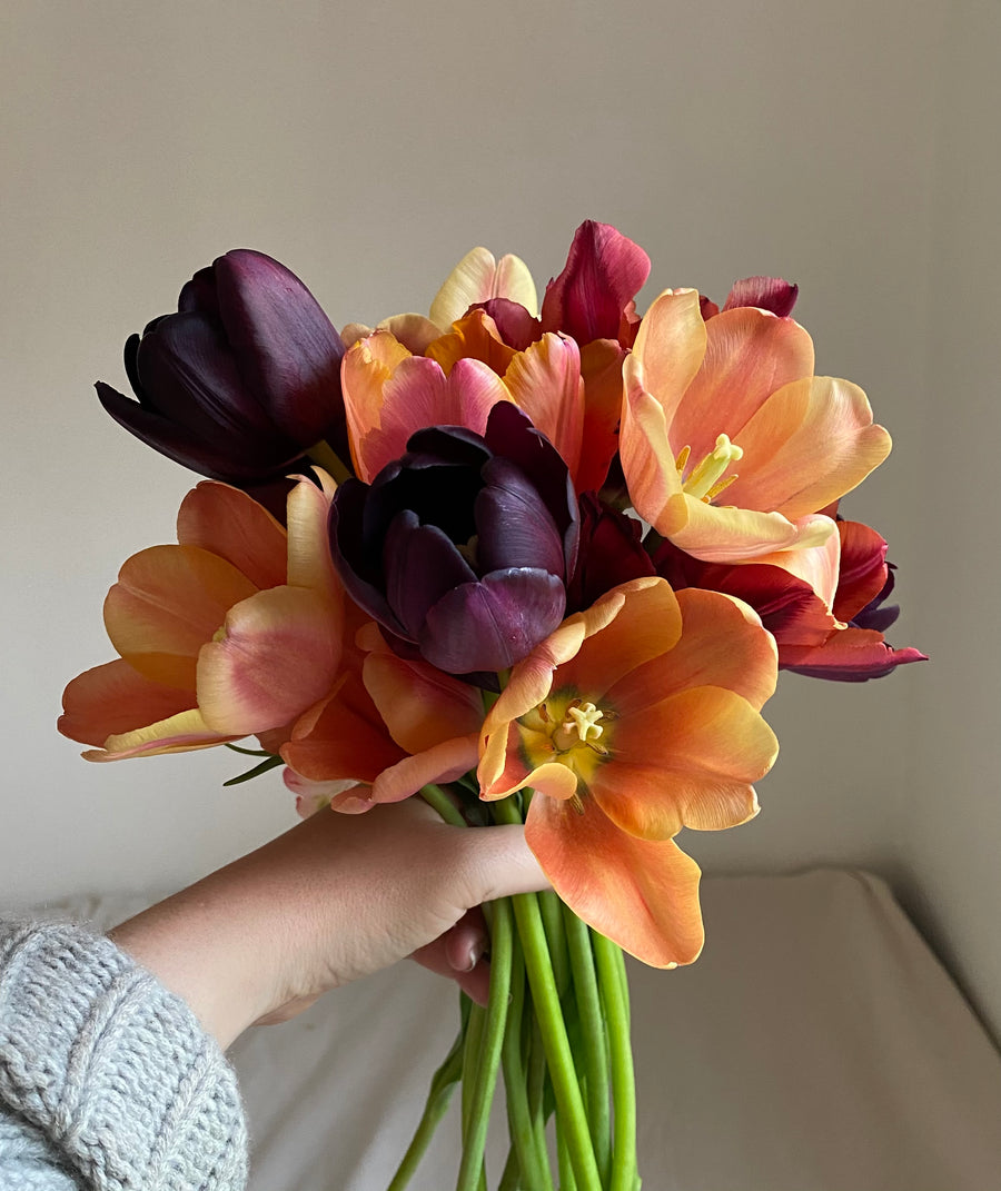 Tulip Bouquet (in-store pick-up or local delivery only)