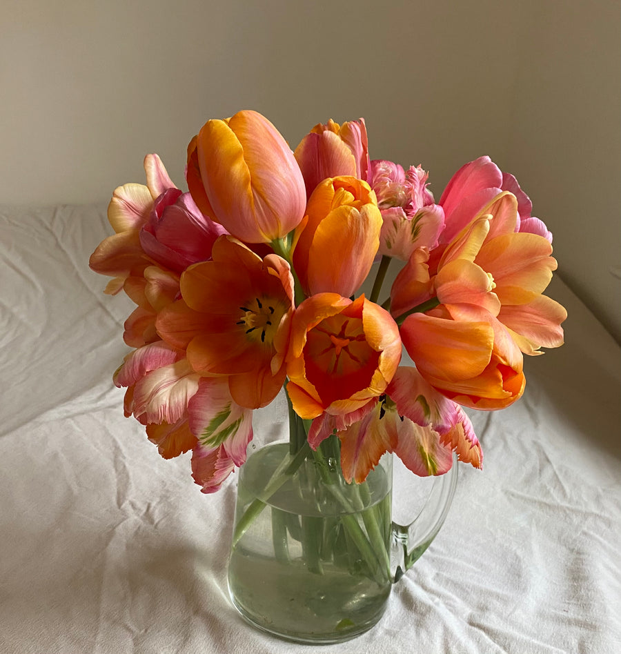 Tulip Bouquet (in-store pick-up or local delivery only)