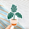 potted monstera sticker