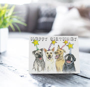 Pittie Stars Birthday Card