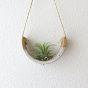 Speckled White Air Plant Cradle